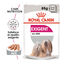 85 g Royal Canin Exigent paté sobre para perros, , large indicador imagen numero 2